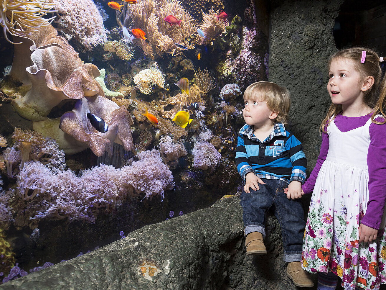 Sea Life Center Sea Life Center