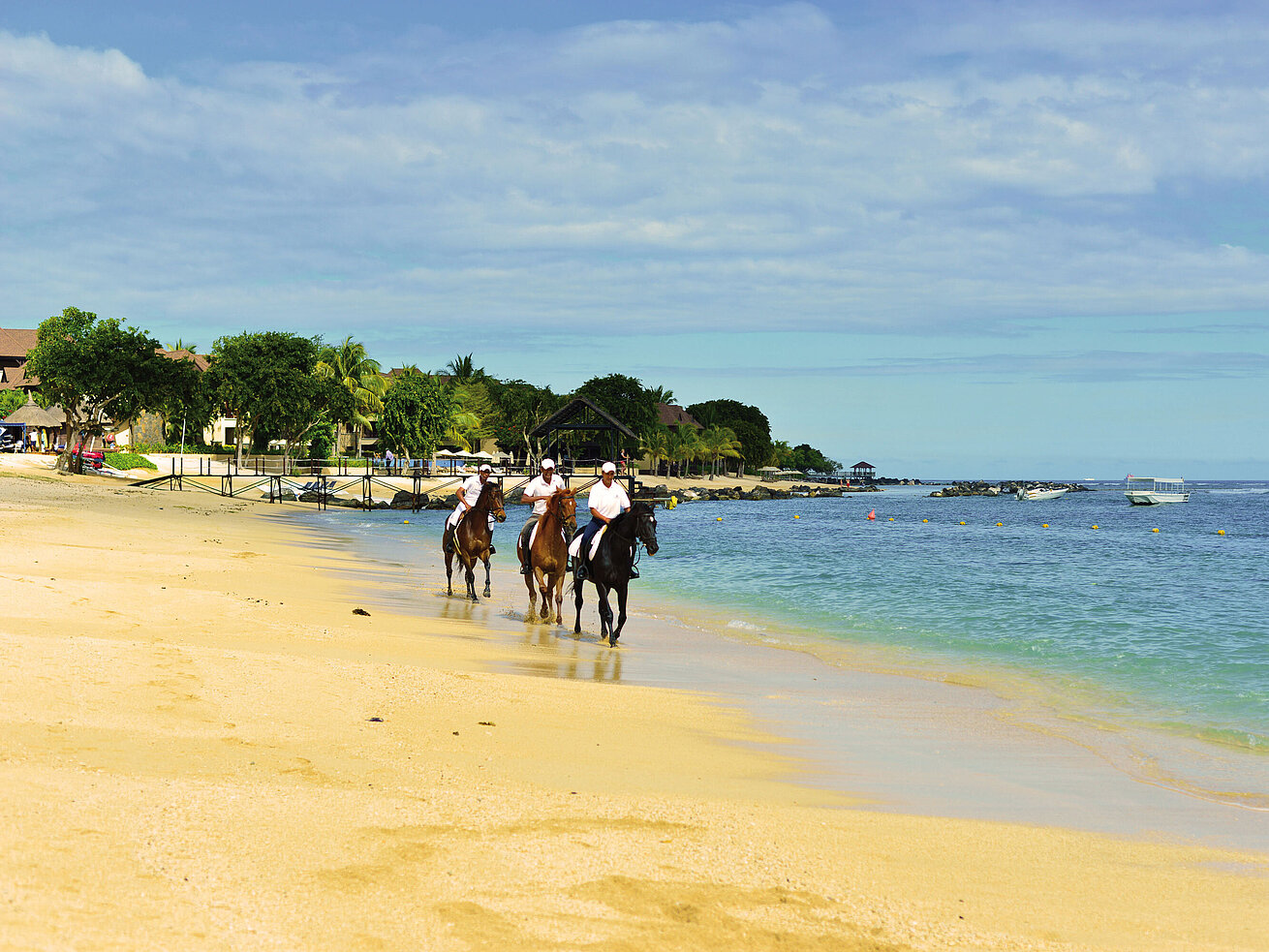 Riding on the beach Horse riders along a sandy beach by the coast with calm sea views