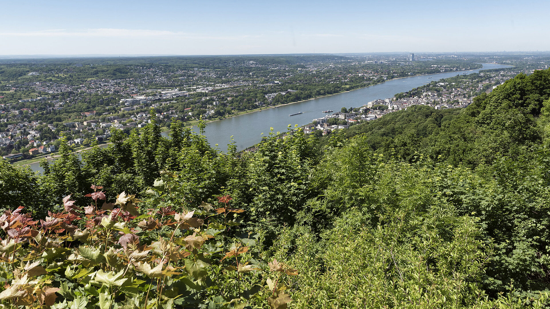 View of the Rhine Stunning view from Drachenfels over the Rhine and surrounding area on a sunny day.
