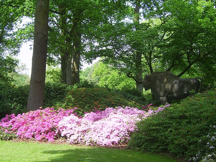 Rhododendronpark à Berlin